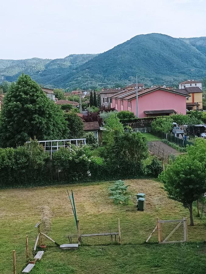 In * Lucca